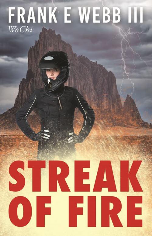 Cover of the book Streak of Fire by Frank E Webb III, Mill City Press