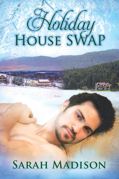 Cover of the book Holiday House Swap by Sarah Madison, Dreamspinner Press
