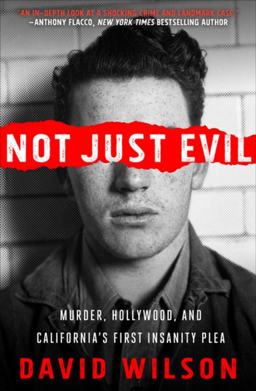 Cover of the book Not Just Evil by David Wilson, Diversion Books