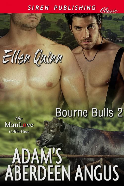 Cover of the book Adam's Aberdeen Angus by Ellen Quinn, Siren-BookStrand