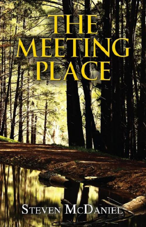 Cover of the book The Meeting Place by Steven McDaniel, America Star Books