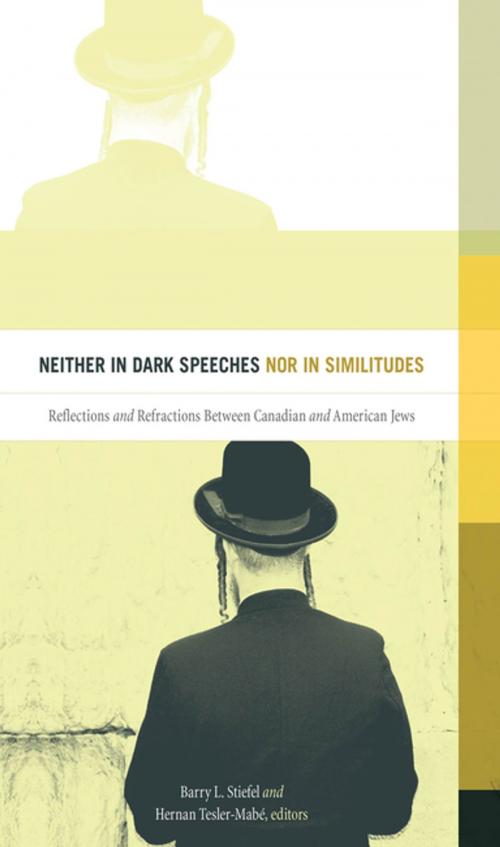 Cover of the book Neither in Dark Speeches nor in Similitudes by , Wilfrid Laurier University Press