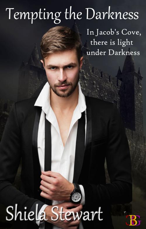 Cover of the book Tempting the Darkness by Shiela Stewart, Champagne Book Group