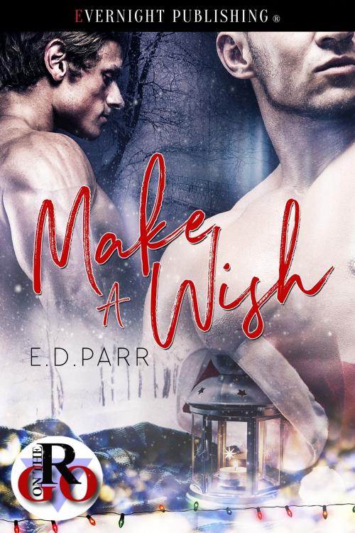 Cover of the book Make a Wish by E. D. Parr, Evernight Publishing
