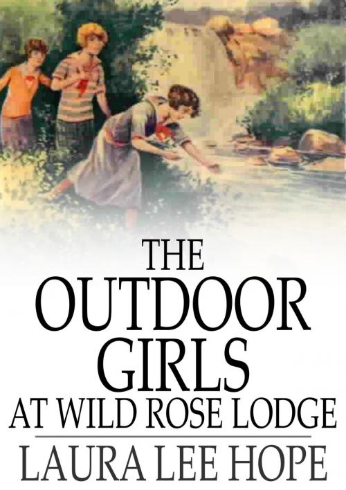 Cover of the book The Outdoor Girls at Wild Rose Lodge by Laura Lee Hope, The Floating Press