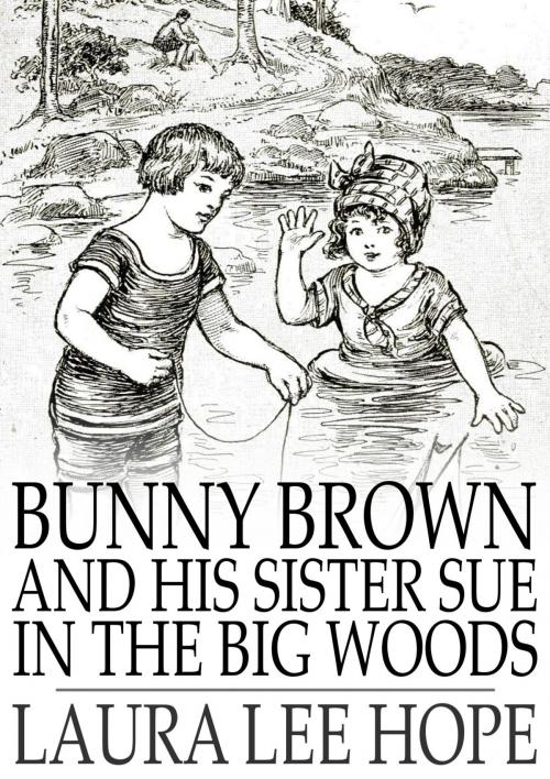 Cover of the book Bunny Brown and His Sister Sue in the Big Woods by Laura Lee Hope, The Floating Press