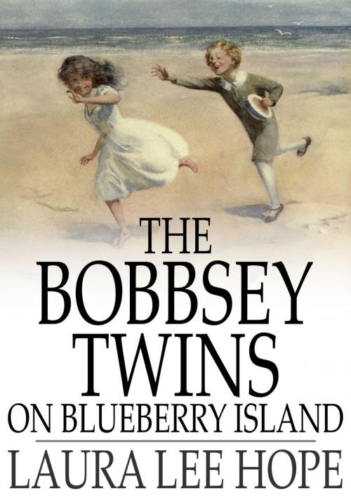 Cover of the book The Bobbsey Twins on Blueberry Island by Laura Lee Hope, The Floating Press