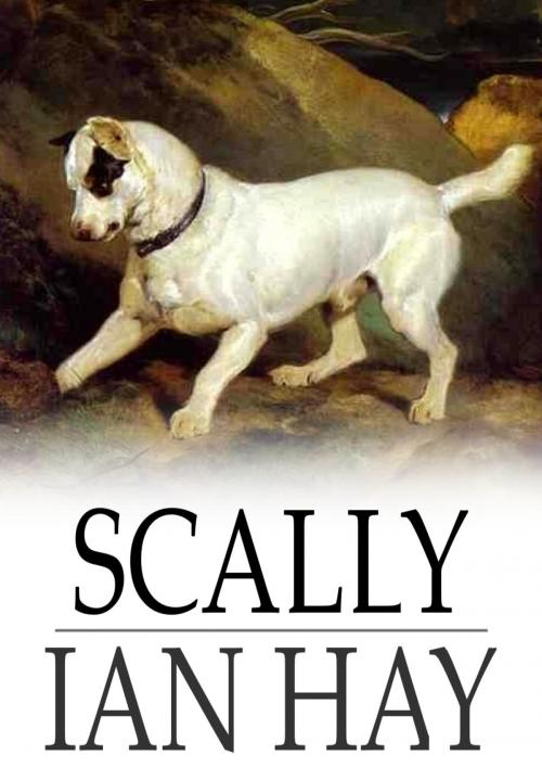 Cover of the book Scally by Ian Hay, The Floating Press