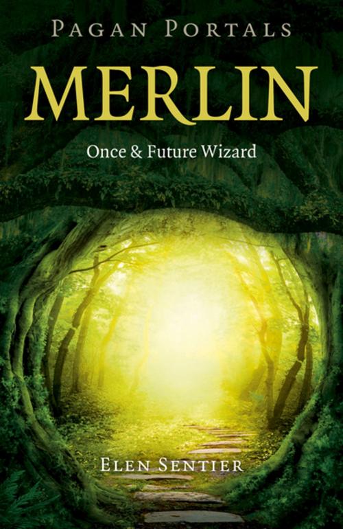 Cover of the book Pagan Portals - Merlin by Elen Sentier, John Hunt Publishing