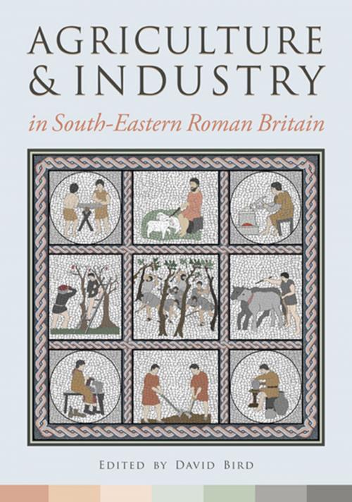 Cover of the book Agriculture and Industry in South-Eastern Roman Britain by David Bird, Oxbow Books