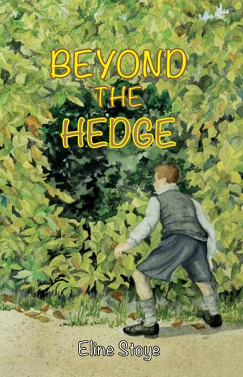 Cover of the book Beyond the Hedge by Eline Stoye, Melrose Books