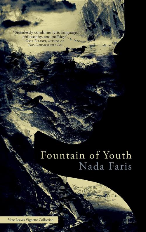 Cover of the book Fountain of Youth by Nada Faris, Vine Leaves Press