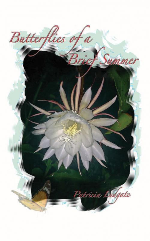 Cover of the book Butterflies of a Brief Summer: Mémoires – Les Souvenirs sont faits de tels Moments by Trish Ludgate, MoshPit Publishing