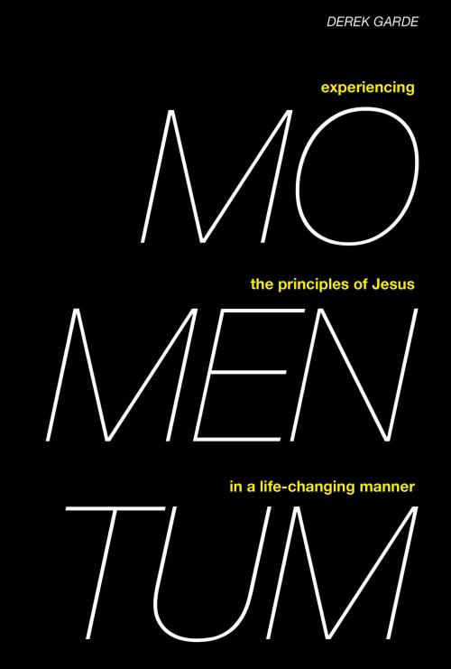 Cover of the book Momentum by Derek Garde, BookRally