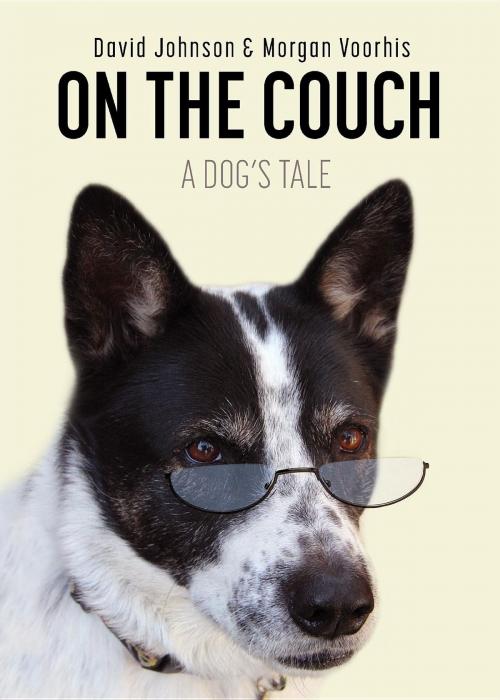 Cover of the book On the Couch by David Johnson, Morgan Voorhis, HBE Publishing