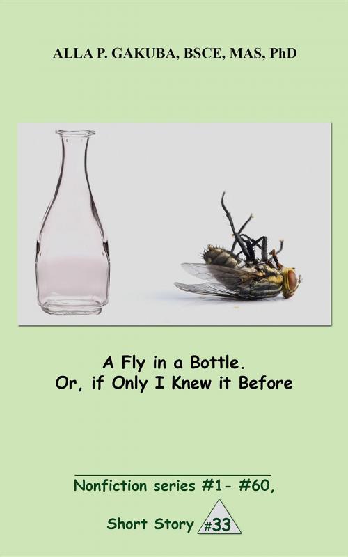 Cover of the book A Fly in a Bottle. Or, if Only I Knew it Before. by Alla P. Gakuba, Know-How Skills