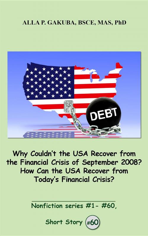 Cover of the book Why Couldn't the USA Recover from the Financial Crisis of September 2008? How Can the USA Recover from Today's Financial Crisis? by Alla P. Gakuba, Know-How Skills