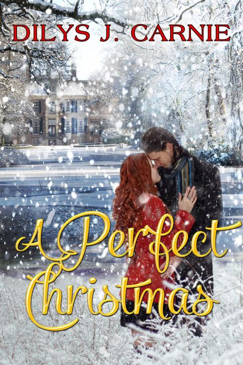 Cover of the book A Perfect Christmas by Dilys J. Carnie, Beachwalk Press, Inc.
