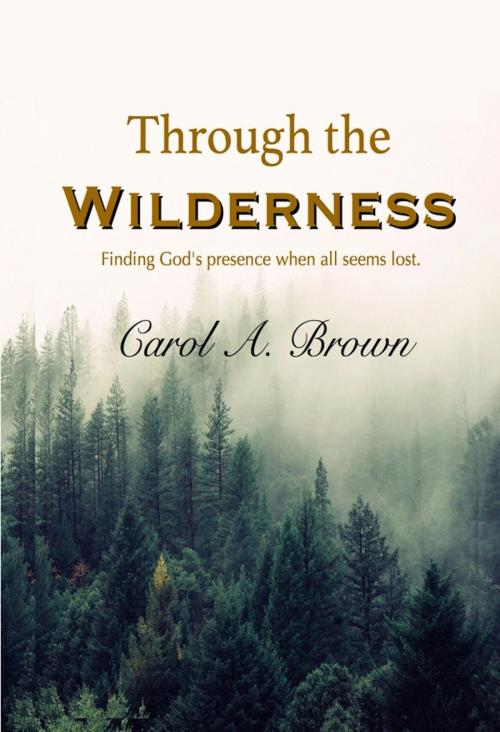 Cover of the book Through The Wilderness by Carol A. Brown, Summers Island Press