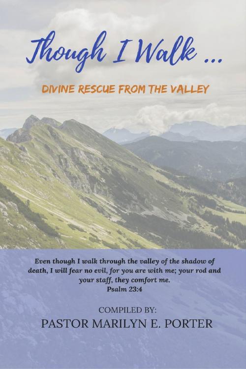 Cover of the book Though I Walk... Divine Rescue From the Valley by M.E. Porter, Pearly Gates Publishing LLC
