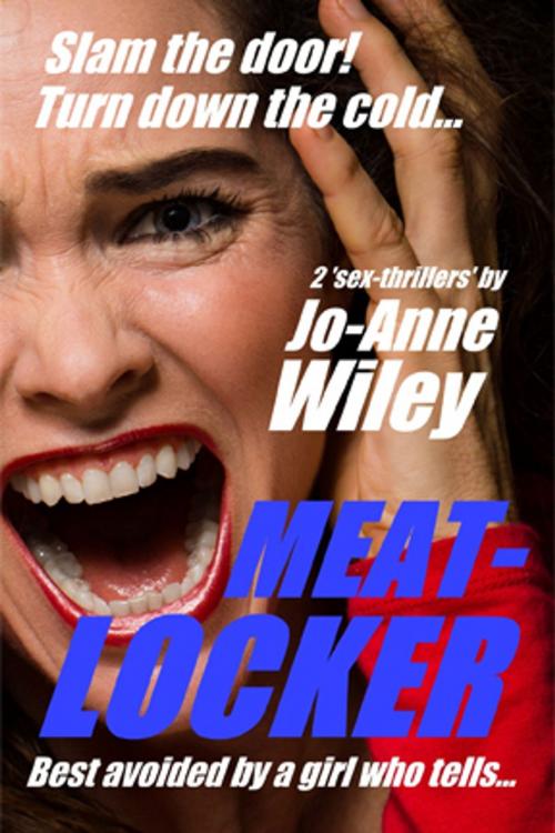 Cover of the book Meat-Locker by Jo-Anne Wiley, Pink Flamingo Media