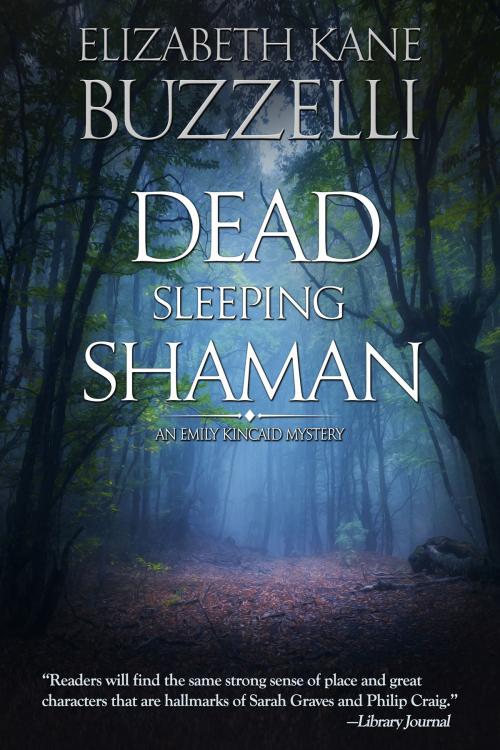 Cover of the book Dead Sleeping Shaman by Elizabeth Kane Buzzelli, Beyond the Page