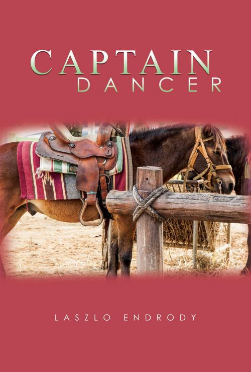 Cover of the book Captain Dancer by Laszlo Endrody, Green Ivy