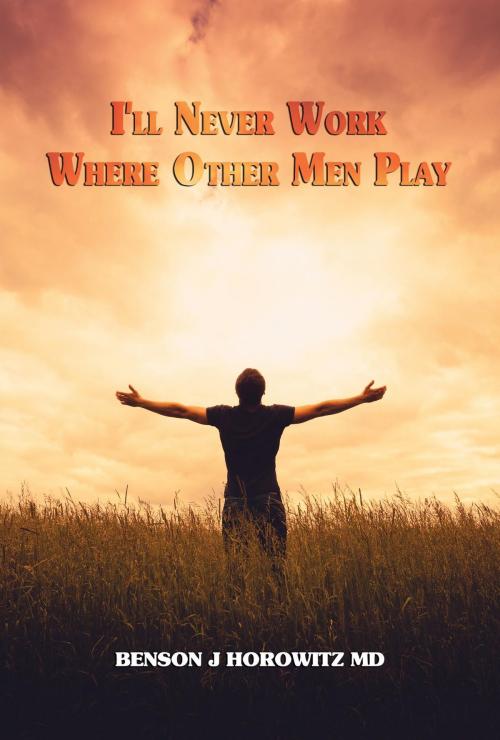 Cover of the book I'll Never Work Where Other Men Play by Benson J Horowitz MD, Green Ivy