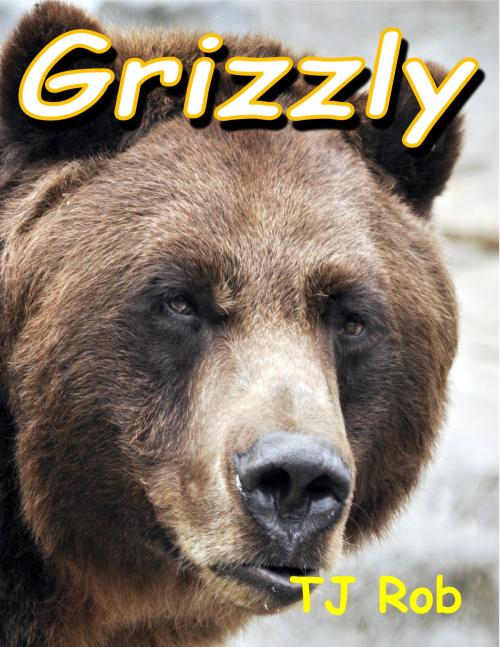 Cover of the book Grizzly by TJ Rob, TJ Rob