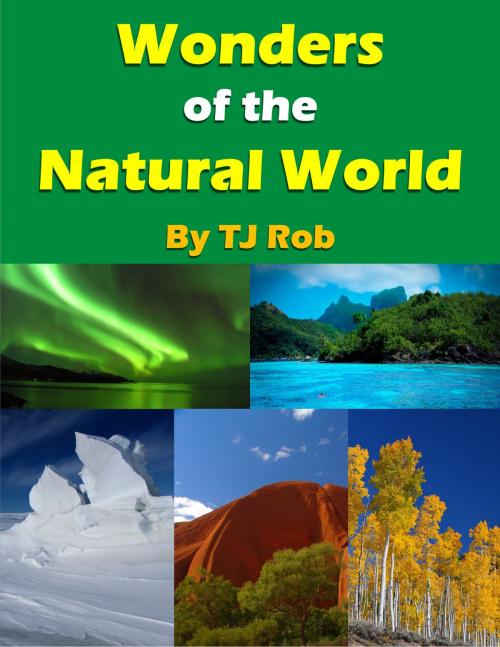 Cover of the book Wonders of the Natural World by TJ Rob, TJ Rob