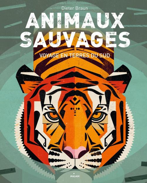 Cover of the book Animaux sauvages, voyages en terres du Sud by , Editions Milan