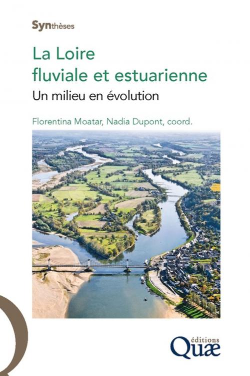 Cover of the book La Loire fluviale et estuarienne by Florentina Moatar, Nadia Dupont, Quae