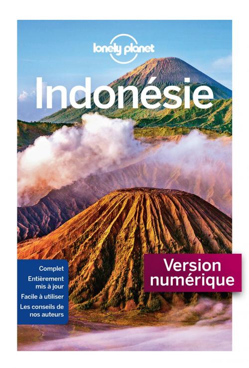 Cover of the book Indonésie - 6ed by LONELY PLANET FR, edi8