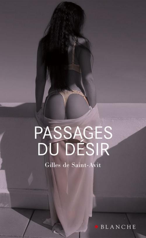 Cover of the book Passages du désir by Gilles de Saint-avit, Hugo Publishing