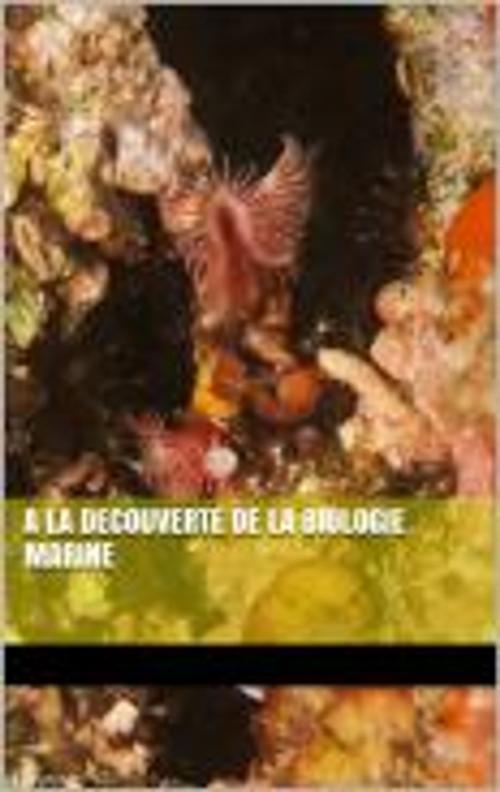 Cover of the book A LA DÉCOUVERTE DE LA BIOLOGIE MARINE by RENE CASTEX, RENE CASTEX