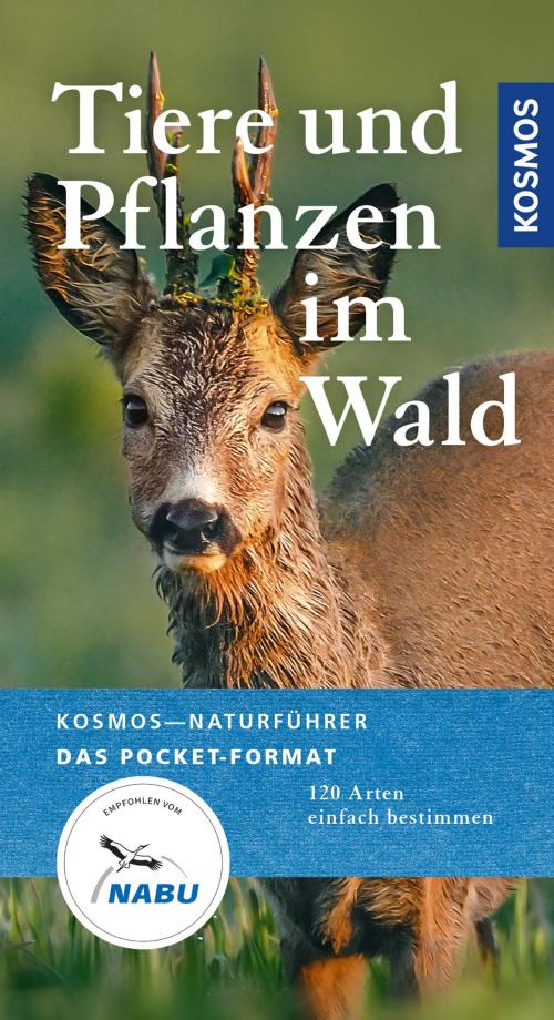 Cover of the book Tiere und Pflanzen unserer Wälder by Ute Wilhelmsen, Franckh-Kosmos Verlags-GmbH & Co. KG