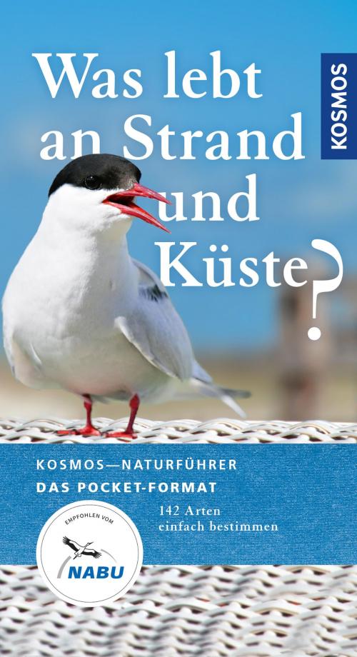 Cover of the book Was lebt an Strand und Küste? by Ute Wilhelmsen, Franckh-Kosmos Verlags-GmbH & Co. KG