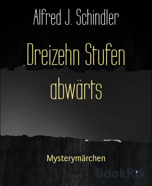 Cover of the book Dreizehn Stufen abwärts by Alfred J. Schindler, BookRix