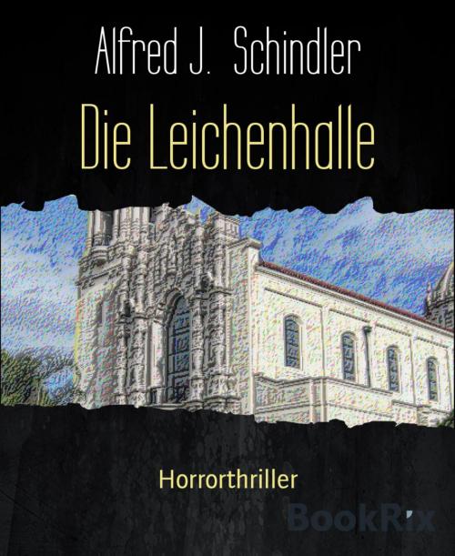 Cover of the book Die Leichenhalle by Alfred J. Schindler, BookRix
