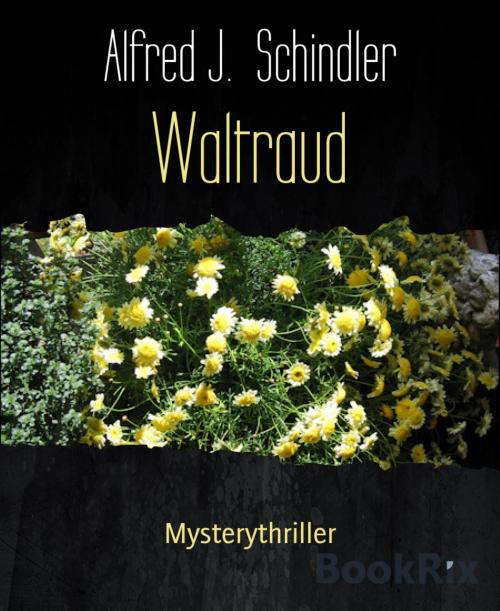 Cover of the book Waltraud by Alfred J. Schindler, BookRix