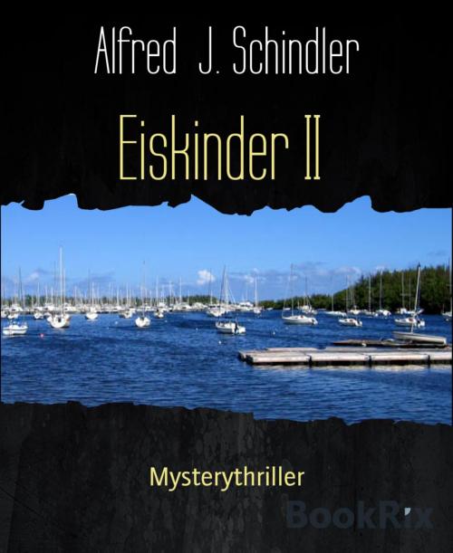 Cover of the book Eiskinder II by Alfred  J. Schindler, BookRix
