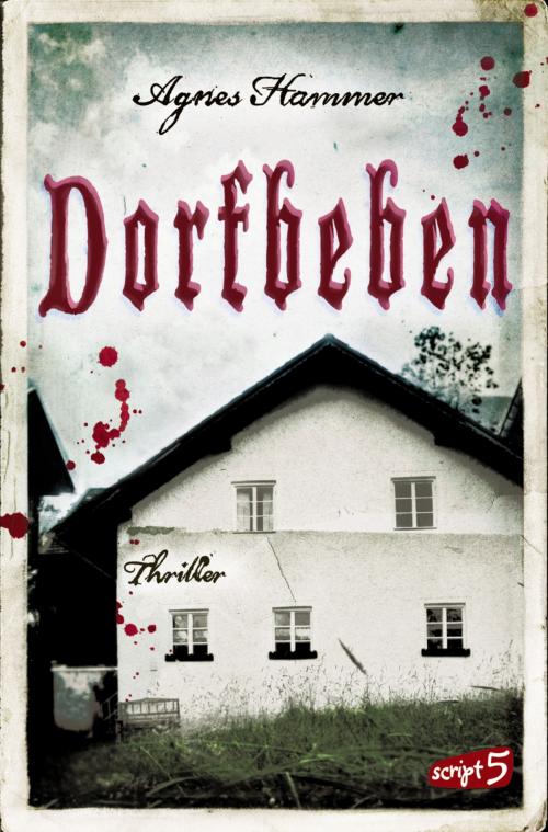 Cover of the book Dorfbeben by Agnes Hammer, script5