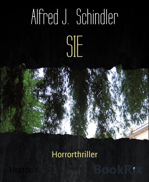Cover of the book SIE by Alfred J. Schindler, BookRix