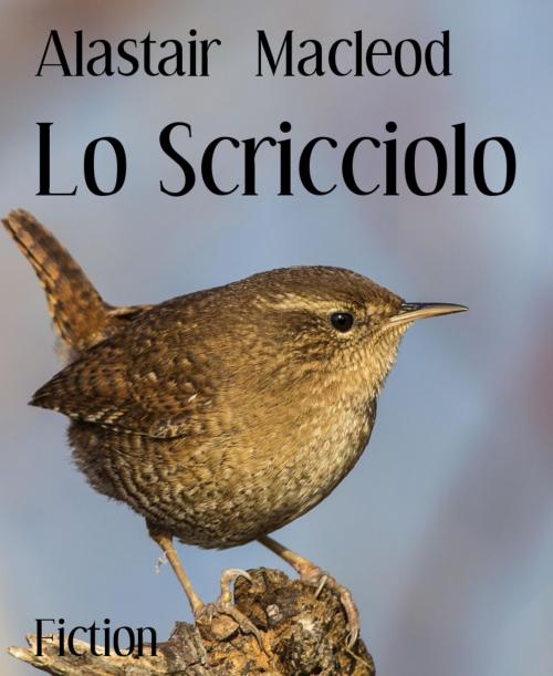 Cover of the book Lo Scricciolo by Alastair Macleod, BookRix