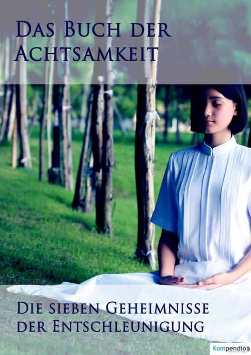 Cover of the book Buch der Achtsamkeit by Alessandro Dallmann, epubli