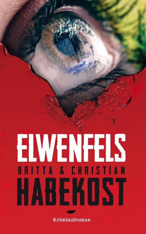 Cover of the book Elwenfels by Britta Habekost, Christian Habekost, Pfälzische Verlagsanstalt