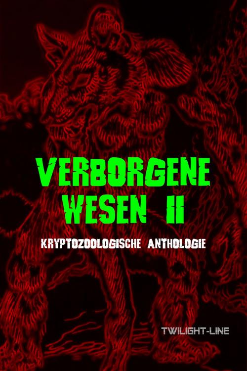Cover of the book Verborgene Wesen II by Anett Steiner, Eileanora Eibhlin, Frank Neugebauer, Ollivia Moore, Jacqueline Mayerhofer, Diandra Li, Twilight-Line Verlag