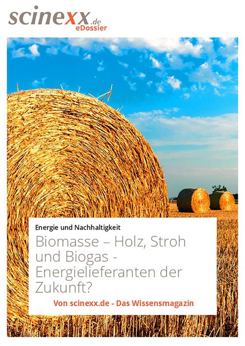 Cover of the book Biomasse by Dieter Lohmann, YOUPublish