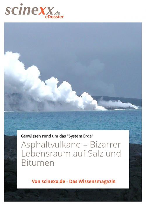 Cover of the book Asphaltvulkane by Dieter Lohmann, YOUPublish