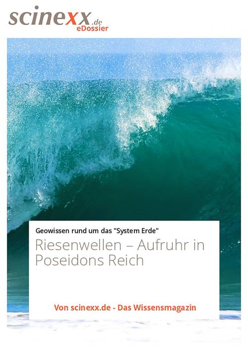 Cover of the book Riesenwellen by Dieter Lohmann, YOUPublish